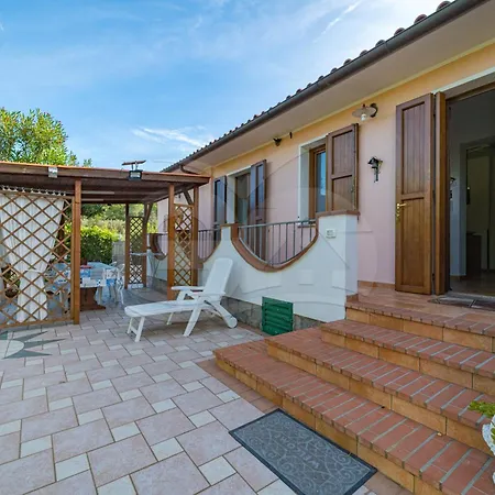 L'albero Del Pepe 1 - Goelba