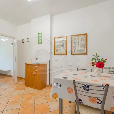 L'albero Del Pepe 1 - Goelba *