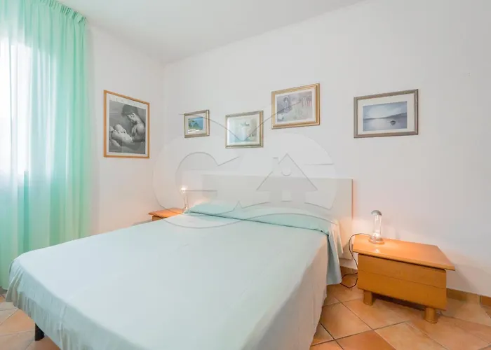 L'albero Del Pepe 1 - Goelba