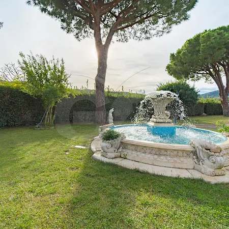 L'albero Del Pepe 1 - Goelba Marina di Campo