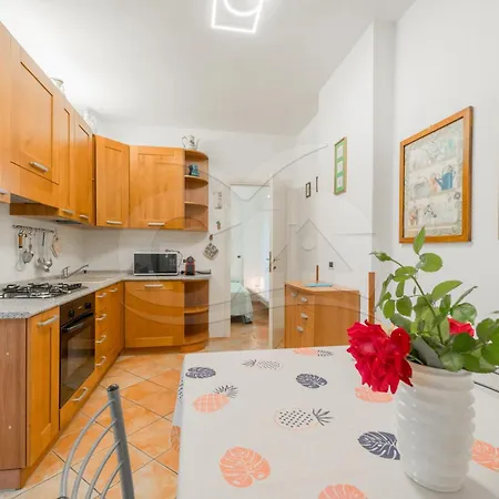 L'albero Del Pepe 1 - Goelba Marina di Campo