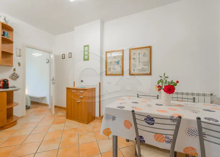 L'albero Del Pepe 1 - Goelba *