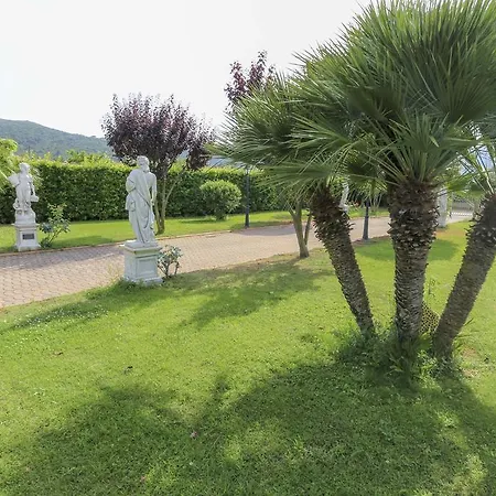 L'albero Del Pepe 1 - Goelba *